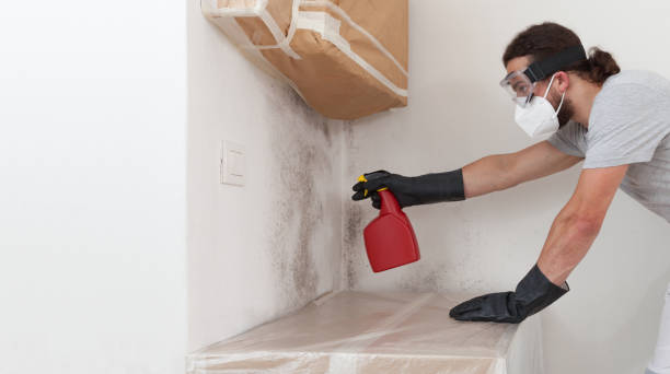 Professional Commercial Mold Remediation technician working in Rebuck, PA