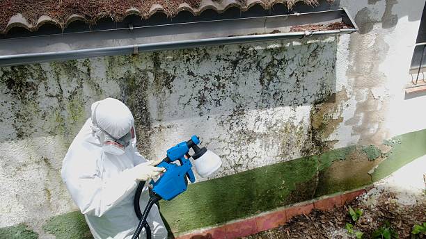 Top rated local Commercial Mold Remediation specialists in Rebuck, PA